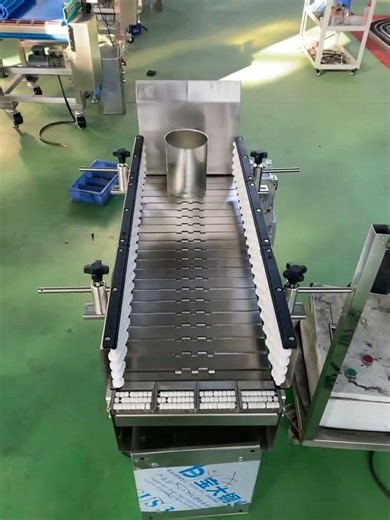 Stainless steel chain conveyor，pls contact me
