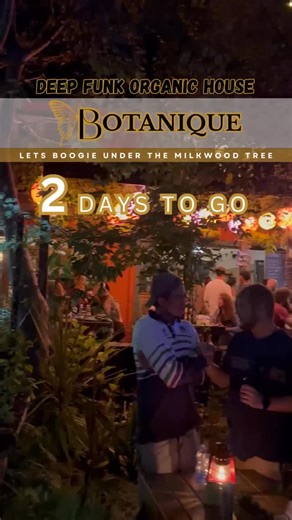 THIS SATURDAY🌿🪩 We boogie beneath the Milkwood Tree 🚕💨 We have a shuttle service available for those coming from out of town - WILDERNESS - SEDGEFIELD - PLETTENBERG BAY Secure a shuttle pass by clicking on the link in our bio(Howler) or contact Gerald directly on 082 767 2401 👌🔥 | The Node Events