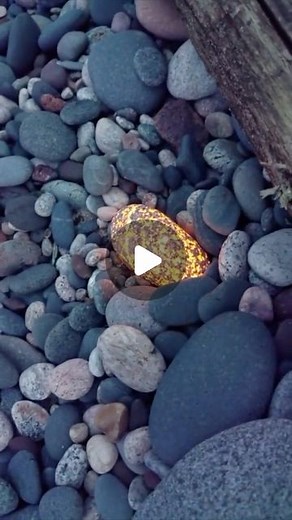 Inverse on Instagram: "Only recently discovered in Michigan and around Lake Superior, Yooperlite rocks are rich in sodalite, a mineral that fluoresces an orange or yellow color under ultra violet light. (video via @yup.that.exists)"