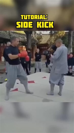 80K views · 8.5K reactions | Side kick #mma #martialarts #kickboxing #karate #kungfu | Farakicks | Facebook