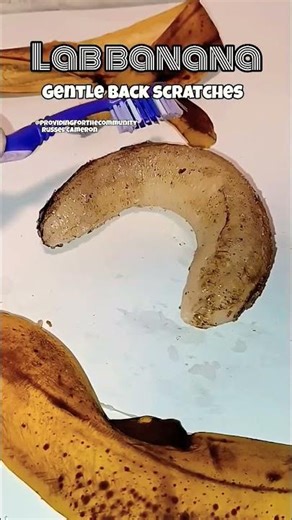 Special lab banana moments.