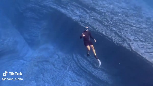 Free diving off the island of Ni’ihau! 🪸🦈 #hawaiitok #hawaii #kauai #freediving #ocean #oceanlife