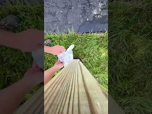 Sika Post Fix - Common Sense DIY