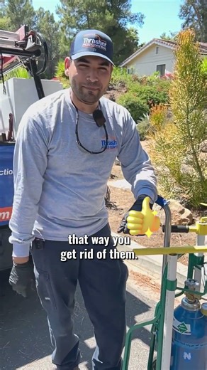 CO2 vs Gophers – Does It Actually Work? #gophercontrol