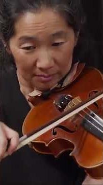 Haydn《Allegro di molto》Symphony No. 49 in F minor #music #classicalmusic #haydn