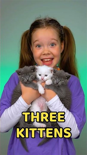 How Many Cute Kittens Are There? 🐱 #learn