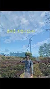 거창 Y자 출렁다리/감악산아스타국화