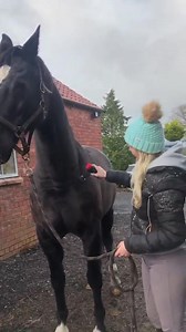 Our mini massage gun is the perfect recovery for humans and horses 🐴❤️ | Pulseroll