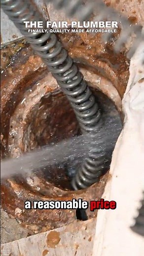 Main Sewer Clog? Watch How We Handle It 💥 | Bensenville Plumber #Shorts