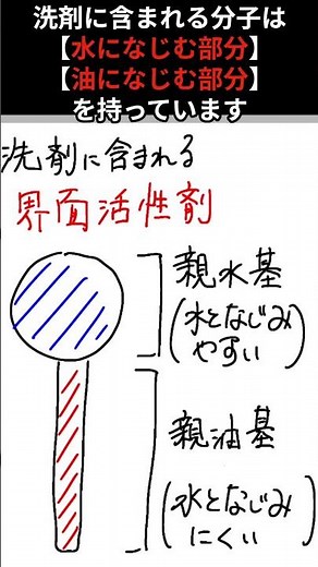 油はなんで洗剤で落ちるの？