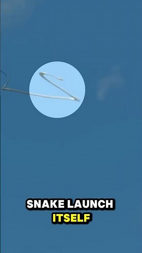 How Does the Flying Snake Launch Itself Into the Air?