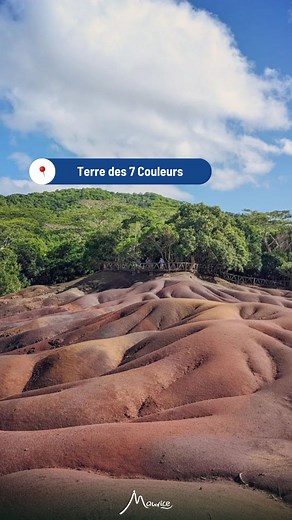 Découvrez l'incroyable Terre des Sept Couleurs à Chamarel, un incontournable de l'île Maurice ! 🌈 Ces dunes ondulées dévoilent une palette naturelle de rouge, ocre, orange, marron et violet, formée par des cendres volcaniques et des minéraux. Promenez-vous sur les sentiers pour admirer cette merveille unique. Quel est votre endroit préféré à Chamarel ? 📷 @ingrid_wkrt 📹 @theresidencemauritius #ilemaurice #discovermauritius #mauritiusexplored #mauritiusnow #mauritiusisland #travelinspiration #m