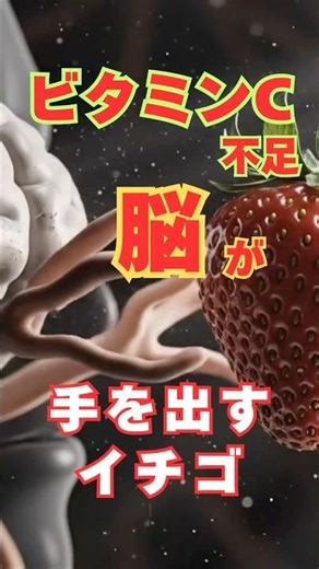 【ビタミンC不足】イチゴを見ると脳が手を出す#ビタミンC#不足#健康#抗酸化作用#老化防止#脳#生活習慣# #雑学#googleveo3 #すったかたん