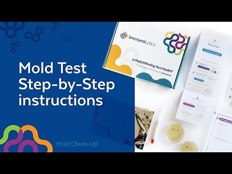 The Immunolytics Mold Test Kit — step-by-step guide