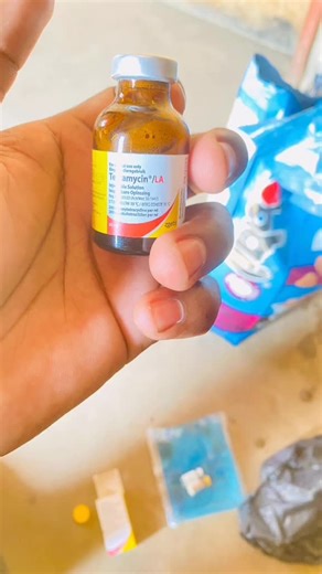 SIZAME KIL NGYBONGA USIZO 💌💌🤞🤞LABANTU ABASTHATHA CRC KWANDE NINGA MAPHISI #tiktok #zulutiktok #s #stitch