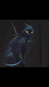 #ninjawarrior #ninja #cat | Kimono Cats Collection | Facebook