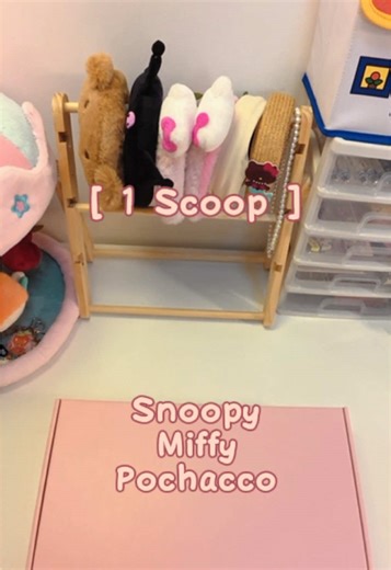 Order Packing Video: Snoopy & Miffy Mystery Box