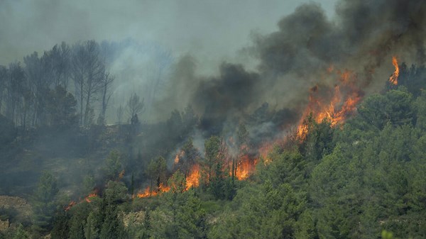 Biggest French wildfire since 1949 a 'catastrophe on an unprecedented scale'