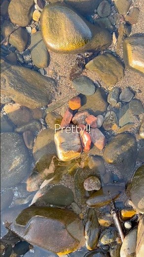 Geology Field Trip - Pretty Rocks At The River