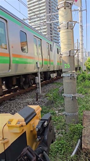 東海道本線 下り E233系3000番台 平塚行 #東海道本線 #東海道線 #E233系3000番台 #平塚行 #JR線 #JR東日本