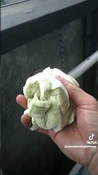 magic eraser pool hack