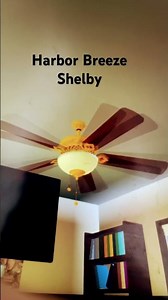 52” Harbor Breeze Shelby celing fan