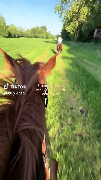 Enjoying a Summer Hack on Horseback