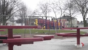 Florida man with full-face tattoo charged after climbing jungle gym to scream at children about where babies really come from