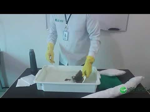 Absorção de óleo com uso de mantas absorventes