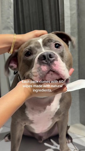 #tiktokshopblackfriday #furryhaha #dogparents #dogsoftiktok #dogdentalhygiene