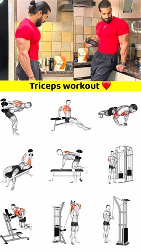 Mayur Khatri on Instagram: "Strong triceps aren’t just for looks—they’re doing a lot of heavy lifting for your body 💪 Here’s why training triceps is 100% worth it: @myproteinin 🔥 Benefits of Tricep Exercises 1. Bigger, thicker arms • Triceps make up ~60–70% of your upper arm size • Well-trained triceps = arms look fuller from side & back 2. More strength in pushing movements • Improves bench press, push-ups, shoulder press, dips • You’ll lift heavier and feel more stable 3. Better arm definiti
