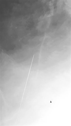 Exhaust Streak by Aeroplane / Airplane Engine in Blue Sky