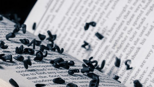 Toki Pona: The Unique Language With Less Than 150 Words