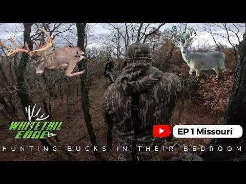 Perfect Shot on the Mature 9-Point | Missouri Rut Hunt - Whitetail Edge S10E1