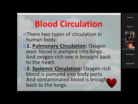 Patho ch 12 cardiac 4 4 26