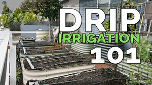Thanks to https://www.dripdepot.com/ for donating the supplies for this drip irrigation install! As part of the 2020 Epic Garden refresh, it was time to fix up the old drip irrigation system. It wasn't BAD, it just wasn't optimal. And I had more beds to add on to the system. I switched from drip line to drip tape for more durability and organization. I also added a footer row to the end of the drip tape for each bed for stability. The most important thing when installing a drip irrigation system