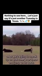 Nothing to see here… Let’s just say it’s just another Tuesday in Texas. 🐄🦌💦🤠 #onlyintexas #funnyvideos #reels #southernchaos #cowboystuff #viralvideo #yeehaw | Memes et al.