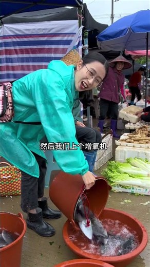 I caught two buckets of filefish from the fishpond on a rainy day to set up a stall. Just sharing...