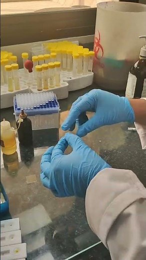 🔥Microbiology Lab Secrets | Every Lab Student Must Know 🧫Microbiology Practical Lab | Real Lab Work