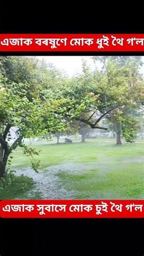 এজাক বৰষুণে মোক ধুই থৈ গ'ল ##জুবিন গাৰ্গ virel song ##youtube short ##short vedio ##