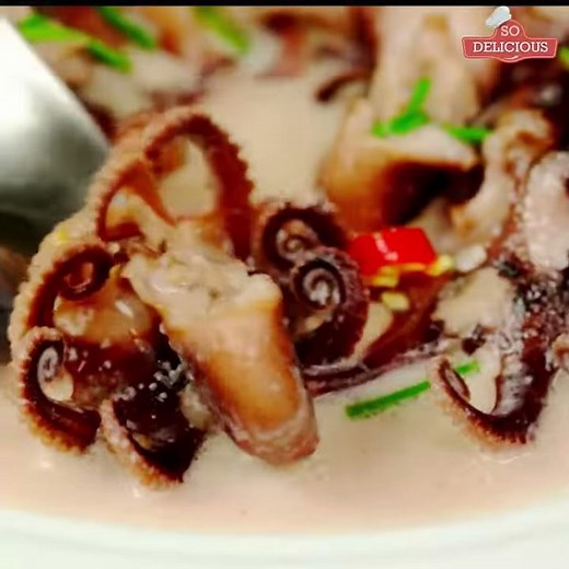 Thai Baby Octopus
