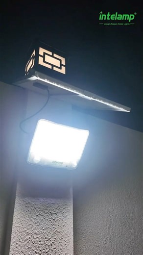 20W Solar Panel & 20,000mAh Battery — Reliable Outdoor Solar Light #intelamp #solarlight