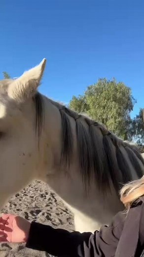 Brett Rossi: Honoring a Life Full of Love