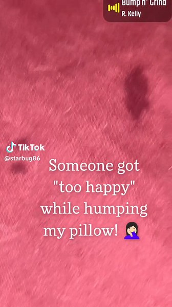 I wouldn't be able to look my Mama in the eye either! 🙄 #badboy #tater