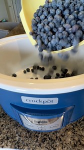 🫐We make this blueberry butter all year round! | The Magical Slow Cooker