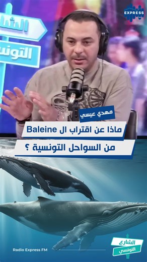 ماذا عن اقتراب ال Baleine من السواحل التونسية ؟ التفاصيل مع مهدي عيسي منسق البرنامج البحري بالصندوق العالمي للطبيعة #EFM_Echara3Ettounsi_MenalMasdar