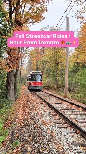 125K views · 1.1K reactions | If you’ve been dreaming of a cozy fall...