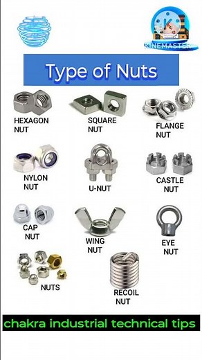 different types of nuts, types of nuts, nut's,Different types of nuts,
