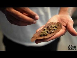 How To Roll A Backwood W/ Gelato Savage