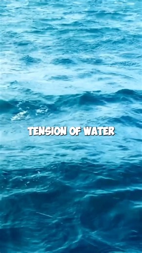 How Do Bubbles Form? 🫧 #physics #science #bubbles #stem